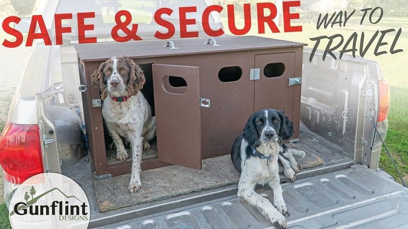 Best Dog Kennel For Big Truck