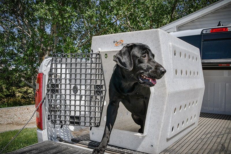 Best Dog Kennel For Big Truck