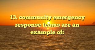 13. community emergency response teams are an example of: