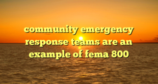 community emergency response teams are an example of fema 800