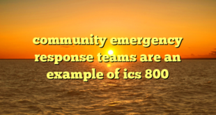 community emergency response teams are an example of ics 800