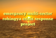 emergency multi-sector rohingya crisis response project