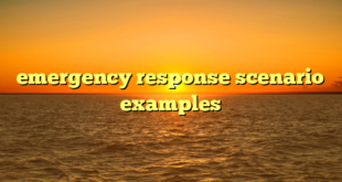 emergency response scenario examples