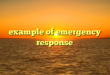 example of emergency response