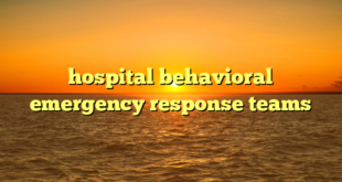 hospital behavioral emergency response teams