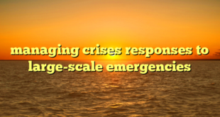 managing crises responses to large-scale emergencies