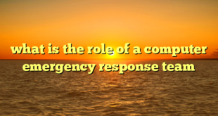 what is the role of a computer emergency response team